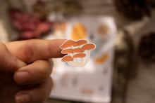 Load image into Gallery viewer, School Days Autumn Sticker Sheet / BW Sticker Sheet