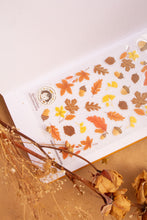 Load image into Gallery viewer, Autumn Leaves and Stamps Clear Stickers
