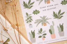 Load image into Gallery viewer, Plant Mama Sticker Sheet
